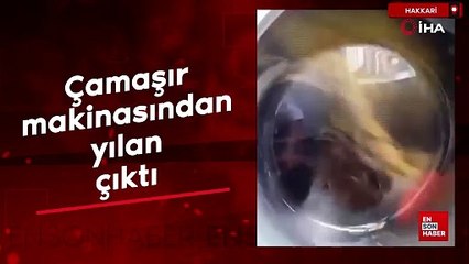 Hakkari'de çamaşır makinesinden yılan çıktı