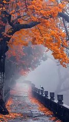 Small steps, achieve big dreams.