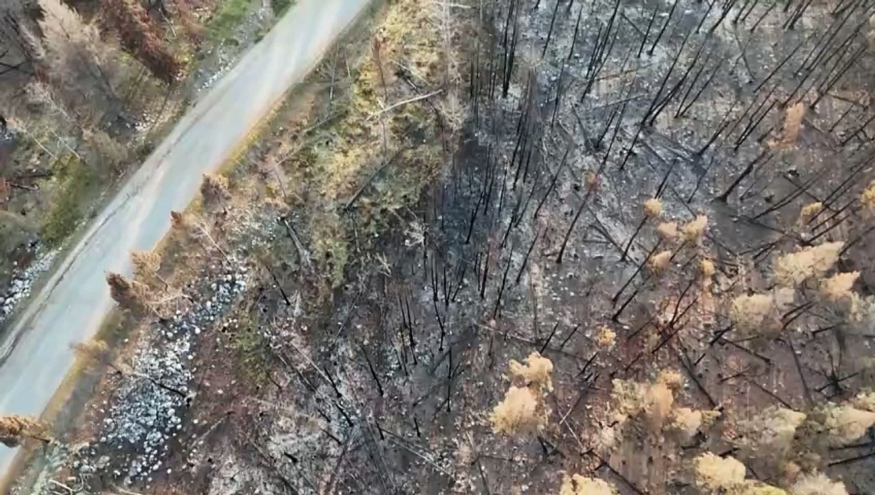 لقطات جوية لبلدة جاسبر التي دمرتها حرائق الغابات في غرب كندا