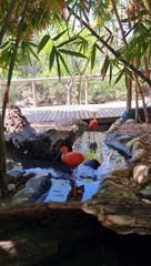 Maria Botelho Moniz: Portuguese TV Presenter