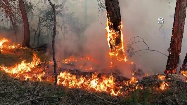 Video Haber | Yangın yönetim uçağı 'OTAĞ' sahada!