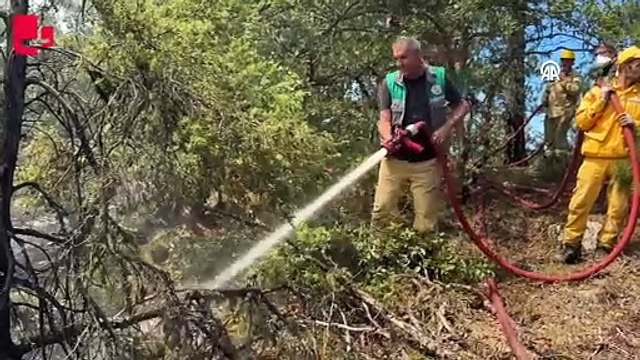 Karabük'te ormanlık alanda çıkan yangına 20 saattir müdahale ediliyor