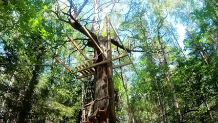Life in Jungle a beautiful tree house