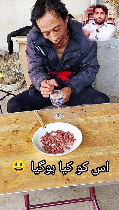 Funny Videos