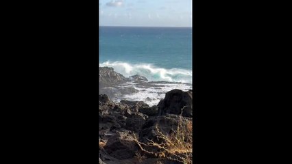 Dangereuse mais fascinante, la forte houle australe attire toujours autant