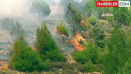 Aydın'da çıkan yangın söndürülemiyor
