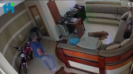 Criminoso invade casa, leva perfumes e computador mas é preso logo depois