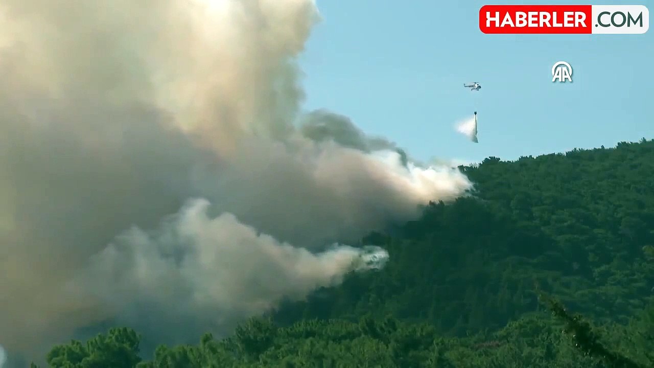 Orman yangınlarıyla ilgili gözaltına alınan 11 kişiden 2'si tutuklanarak cezaevine gönderildi