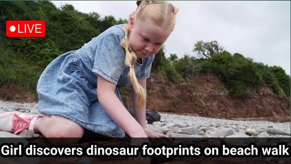 Girl discovers dinosaur footprints on beach walk
