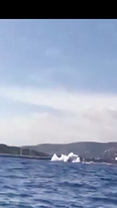 Pilot killed after plane crashes into sea during French air show