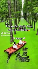 Top 10 Must-Visit Travel Destinations You Can't Miss ✈️