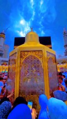 ہمارے پاس رسول اللہ ﷺ کے کچھ بال ( مبارک ) ہیں