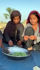 desert life in india #traditional #desertculture #camel #india