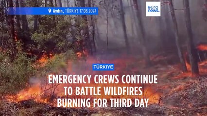 Most wildfires in western Türkiye contained but five major blazes still active, says minister