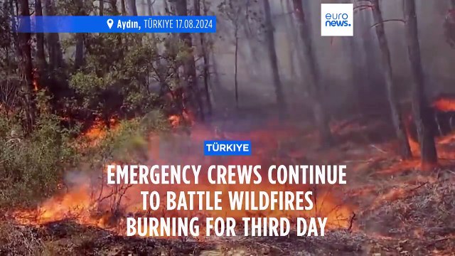 Most wildfires in western Türkiye contained but five major blazes still active, says minister