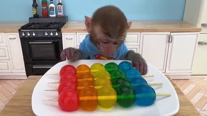 Monkey baby bon bon rats rainbow jelly with papies