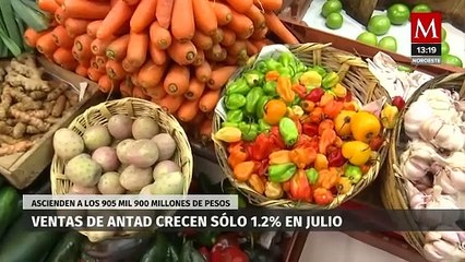 La Antad informó que las ventas en tiendas de autoservicio tuvieron un incremento del 1.2% en julio