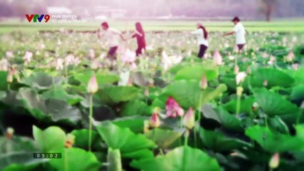 Phim truyện Tơ duyên - Tập 35 - thumbnail
