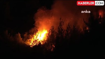 İzmir'deki orman yangınlarına karadan müdahale devam ediyor