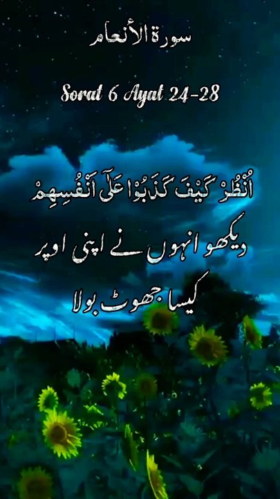 Surah Al Anaam verses 24-28 Urdu translat Short video (720P_HD)