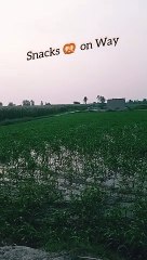 Pind da mahool | village life | dehat ke Zindagi | old culture of Punjab