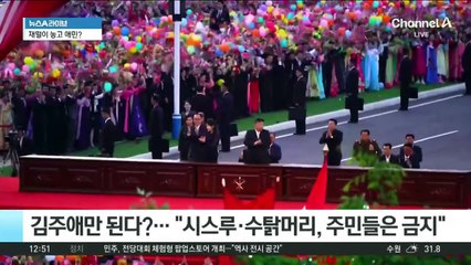 “시스루 입으면 처벌”…北, ‘김주애 스타일’ 금지령