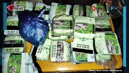 TNI AL Sukses Amankan 21 Kg Sabbu Senilai Rp25 Miliar dari Penyelundupan di Muara Bagan