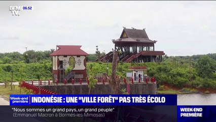 L'Indonésie inaugure sa nouvelle capitale, la "ville forêt" de Nusantara