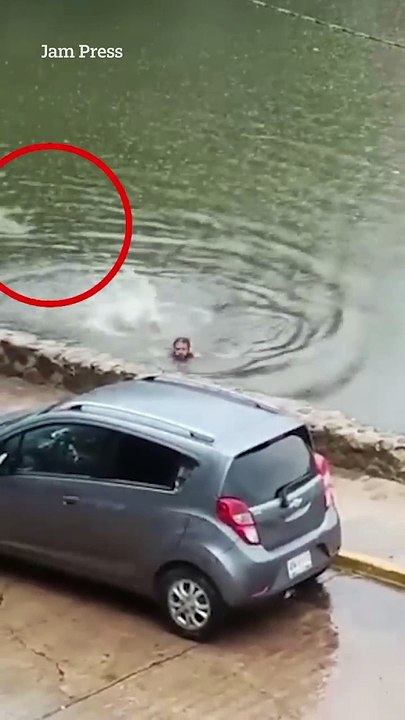 Heart-stopping moment enormous crocodile chases swimmer before he turns to fight beast off to escape