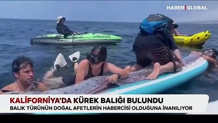 Kıyamet balığı ABD'de ortaya çıktı, 2 gün sonra Los Angeles 4.4 ile sallandı