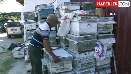 Bozdoğan'da çıkan orman yangınında köyler küle döndü