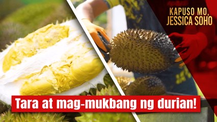 Tara! Tayo’y mag-mukbang ng DURIAN! | Kapuso Mo, Jessica Soho