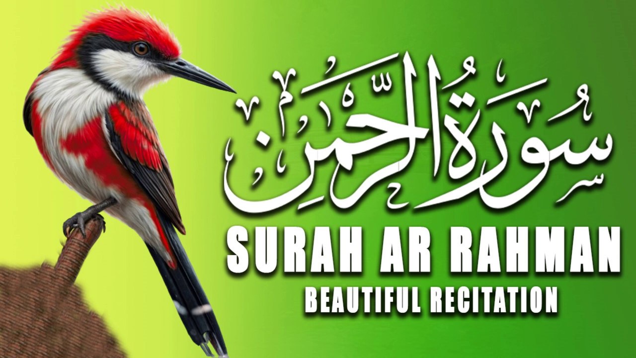 Surah Ar Rahman |Amazing Voice Beautiful Recitation | Tilawat E Quran |Al Quran
