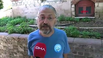 Görüntüler İstanbul açıklarından... Ölen yunusu eşi 6 gün boyunca taşıdı