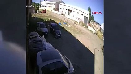 Sokak köpeklerinin saldırısından 'karate hareketleri' ile kurtuldu