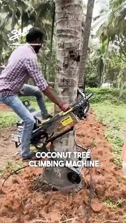 This is a lot faster than shaking the tree. I _ @peters-make-it-possible #