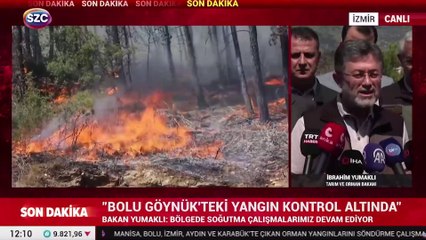 Bakan Yumaklı: İzmir Yaman'lar ile Bolu Göynük'teki yangın kontrol altında
