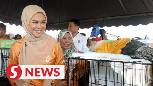 Tengku Permaisuri Selangor officiates new cat park in Klang
