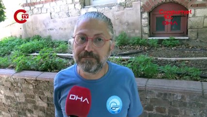 Böyle vefa görülmedi: 6 gün boyunca ölen yunusun başından ayrılmadı!