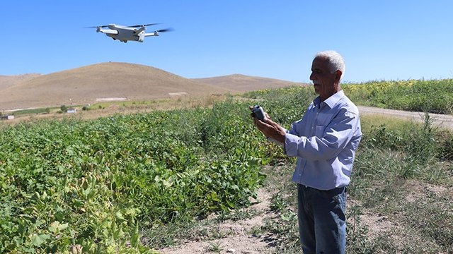 Tarım arazilerine zarar veren domuzlarla dronlu mücadele 