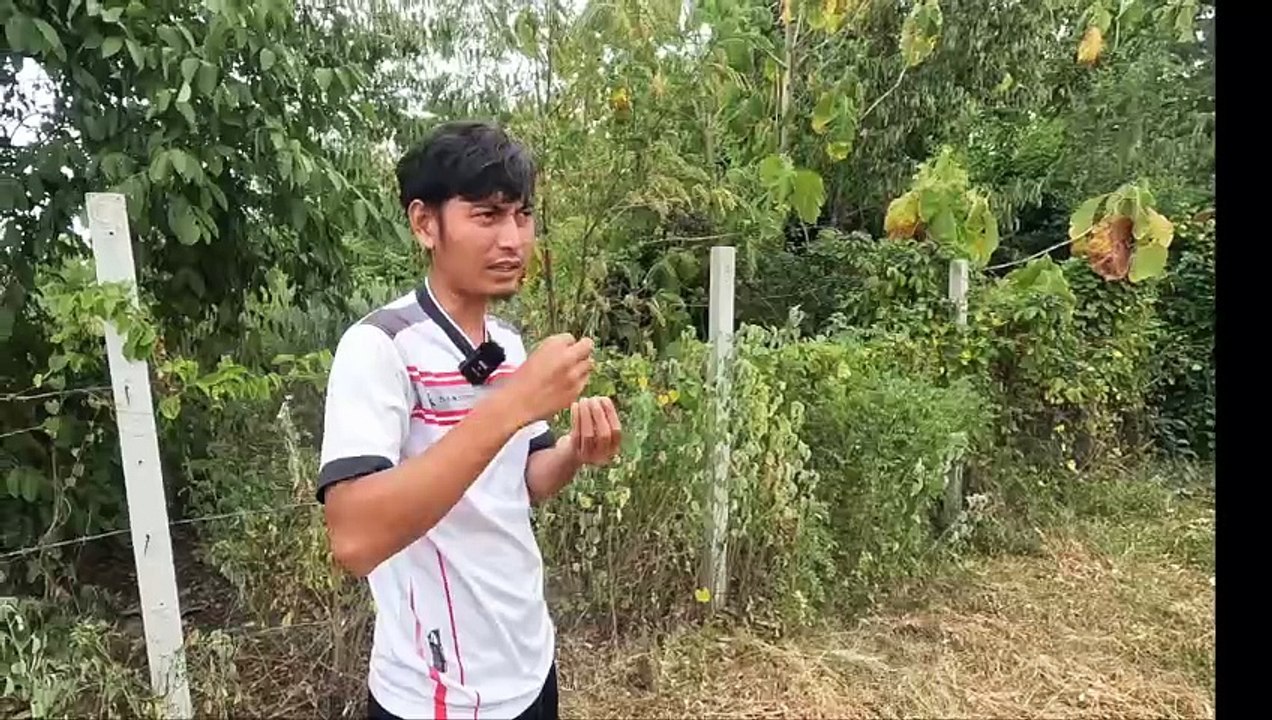 Ein Zaun fürs Kinderheim #thailand #hilfezurselbsthilfe #kinderheim