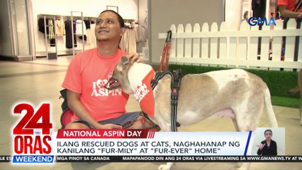 Ilang rescued dogs at cats, naghahanap ng kanilang "fur-mily" at "fur-ever" home" | 24 Oras Weekend
