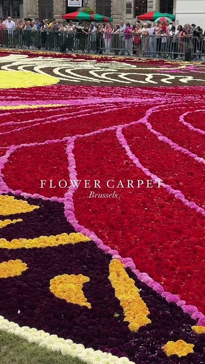 Tous les deux ans, au mois d'août, la Grande Place se transforme en un magnifique tapis de fleurs. Le résultat est une œuvre d'art à couper le souffle qui met en valeur la beauté de 1680 m2 de bégonias, de dahlias, d'herbes et d'écorces. Le soir, vous p