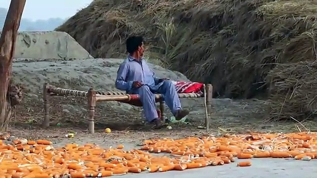 Epic_Scare__Best_Bushman_Prank_Fails_of_2023!_BUSHMAN_Ultimate_Funniest_Video_Shocking(360p)