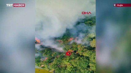 Muğla'da 2 ilçede orman yangını