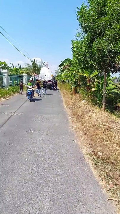 ikan oleng