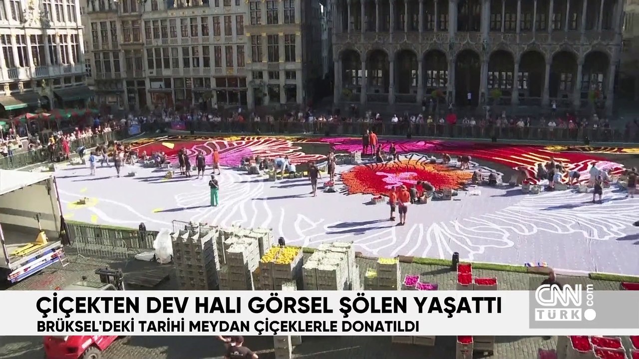 Hafta Sonu Ana Haber 17 Ağustos 2024 Cumartesi