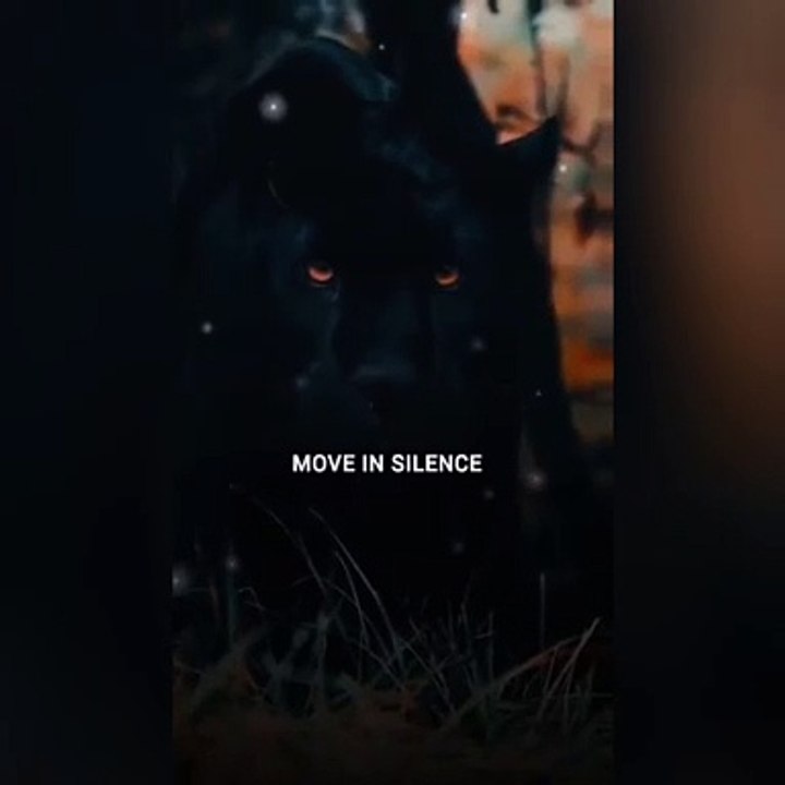 Move in silence only speak 