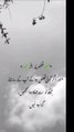 تو اسے گرا ہوا نہ سمجھے #trending#viral#shorts#islamic#follow#foryou#dailymotion#share