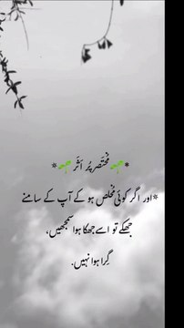 تو اسے گرا ہوا نہ سمجھے #trending#viral#shorts#islamic#follow#foryou#dailymotion#share